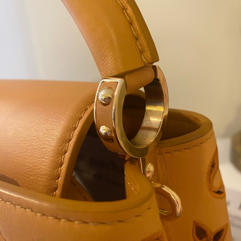 Louis Vuitton limited edition Capuchin Mini Tan Handbag. Microchipped - Picture 2 of 9